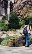 高山植物園