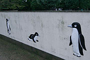 ペンギン展示の壁