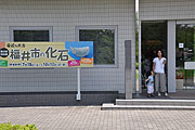 福井市自然史博物館